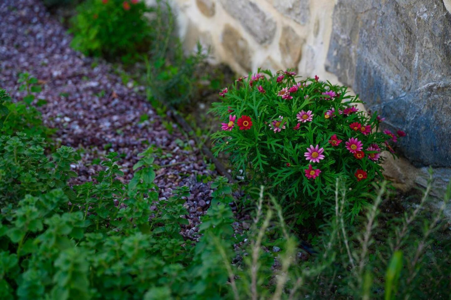 Physis Country House Near Matala Beach & Faistos Kouses المظهر الخارجي الصورة